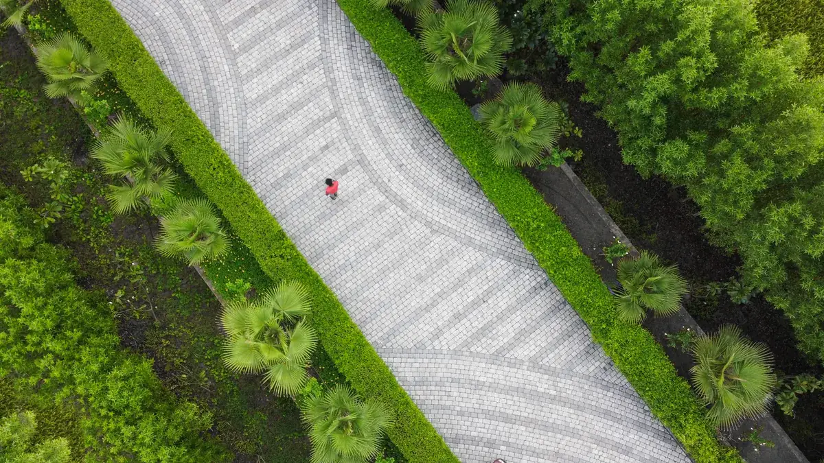 Person walking on a curved concrete paver pathway through dense landscaping